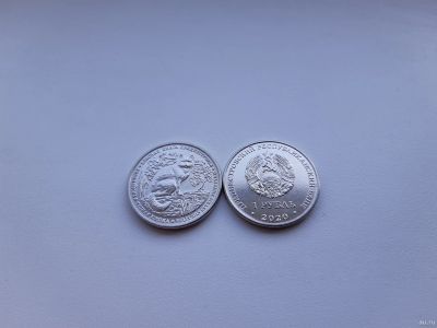 Лот: 17458871. Фото: 1. Приднестровье 1 рубль 2020 " Красная... Европа
