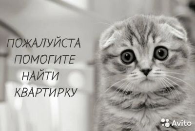Лот: 7868281. Фото: 1. сниму квартиру для семьи с детьми... Квартиры, студии