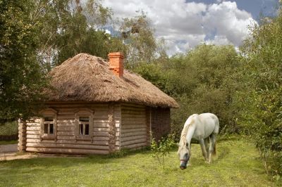 Лот: 10955066. Фото: 1. Приму в дар/ куплю за символическую... Дома