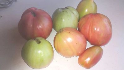 Лот: 11899150. Фото: 1. Минусинские мясистые помидоры. Овощи, фрукты, зелень