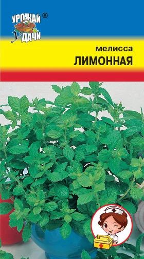 Лот: 10811826. Фото: 1. Семена мелиссы лимонной. Пряные, лекарственные растения и зелень