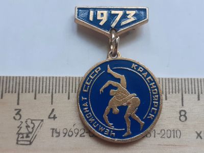 Лот: 18139476. Фото: 1. (№10732) значки спорт,Красноярск... Памятные медали