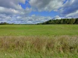 Лот: 6900912. Фото: 1. Сдам 160 га с/х земли в аренду... Земельные участки