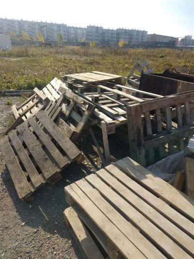 Лот: 20864955. Фото: 1. поддоны/ дрова. Дрова, горбыль
