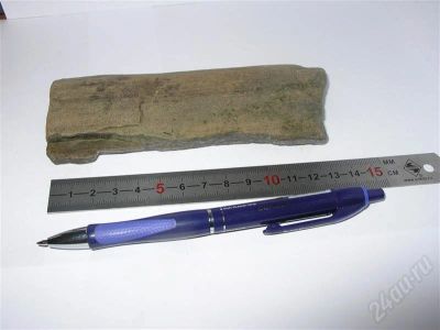 Лот: 631774. Фото: 1. Окаменелое дерево - №1. Минералы и окаменелости
