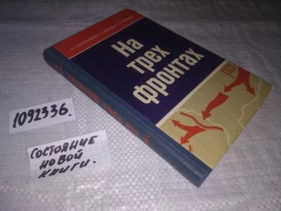 Лот: 21177363. Фото: 1. oz(1092336) Коровников И., Лебедев... Публицистика, документальная проза