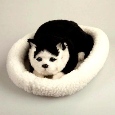 Лот: 8807113. Фото: 1. Игрушка Fluffy Family Кот Американский... Мягкие