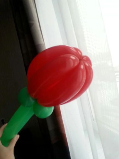 Лот: 9143219. Фото: 1. Тюльпаны из шаров.Воздушные шарики... Воздушные шары