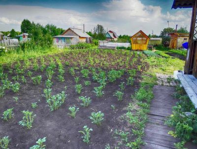 Лот: 2617315. Фото: 1. Дача 10 сот. огород, дом, баня... Дома, дачи, коттеджи