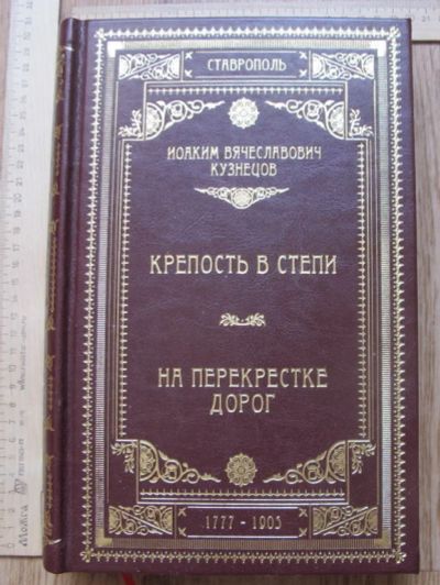 Лот: 14756295. Фото: 1. книга Город в степи,Кузнецов,репринт... Книги