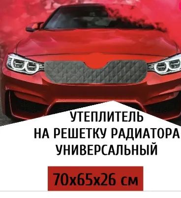 Лот: 20175833. Фото: 1. Защита на решетку радиатора 70... Другое (оснащение, оборудование, аксессуары)