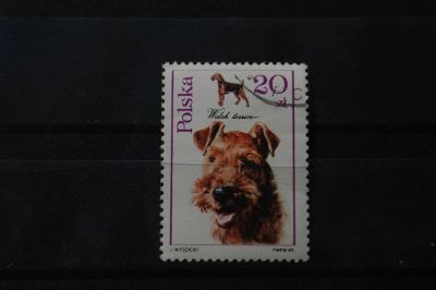 Лот: 3932723. Фото: 1. марка 61 Польша 1989г фауна собаки. Марки