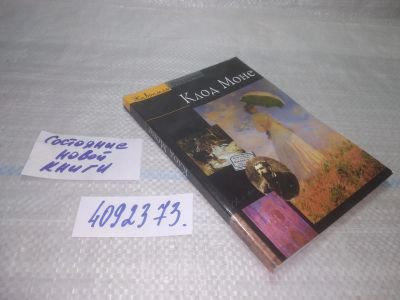 Лот: 25520061. Фото: 1. оз..вбр..(4092373) Патен, Сильви... Искусствоведение, история искусств