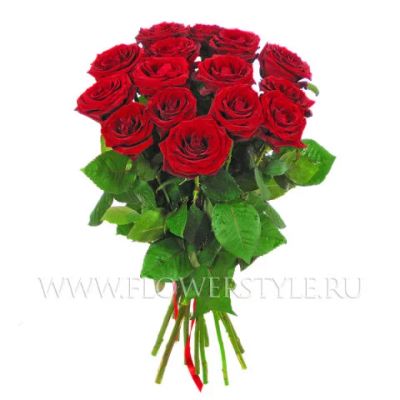 Лот: 3930788. Фото: 1. Букет из 15 роз сорт Red Naomi... Свежие цветы