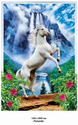 Лот: 3893339. Фото: 1. продам фото обои с рубля(триумф... Обои, панели, ДВП, ДСП, МДФ