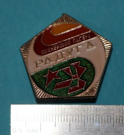 Лот: 9864554. Фото: 1. Знак: Пионерский лагерь. Радуга... Сувенирные