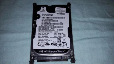 Лот: 10921263. Фото: 1. HDD WD2500BEKT 250Gb. Жёсткие диски