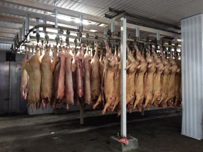 Лот: 7843685. Фото: 1. Свинина в полутушах. Мясо, птица, яйцо