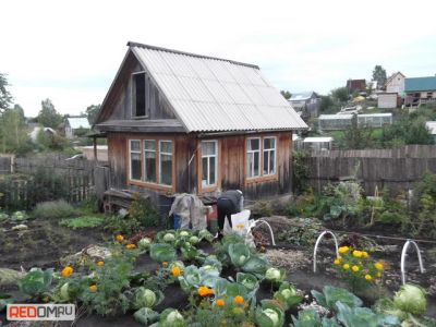 Лот: 3179924. Фото: 1. Продам дачу,дом кузнецовское плато... Дачи