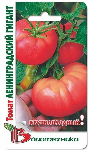 Лот: 6703371. Фото: 1. Томат Ленинградский Гигант (Крупноплодный... Другое (семена, рассада, садовые растения)