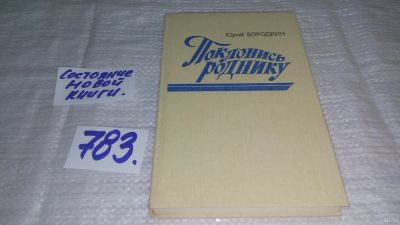 Лот: 13333386. Фото: 1. Бородкин Ю. Поклонись роднику... Художественная