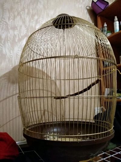 Лот: 11668066. Фото: 1. Клетка для попугев. Домики, переноски, клетки, когтеточки