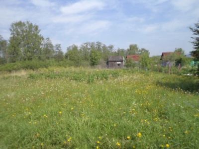 Лот: 5483182. Фото: 1. срочно продам участок в городе. Земельные участки