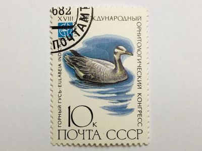 Лот: 23316413. Фото: 1. Птицы. 18й международный орнитологический... Марки