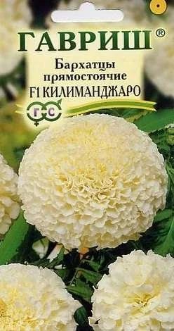 Лот: 11024177. Фото: 1. Бархатцы пр. Килиманджаро F1 0... Садовые цветы