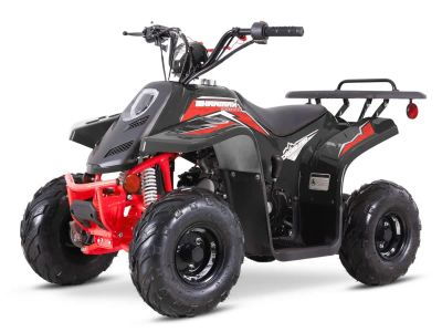 Лот: 25732207. Фото: 1. Квадроцикл SHARMAX 130 Cross. Снегоходы, квадроциклы