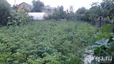 Лот: 8184413. Фото: 1. Участок в СНТ "НИВА". Земельные участки