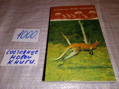 Лот: 9011719. Фото: 1. Николай Дроздов, Полет бумеранга... Путешествия, туризм