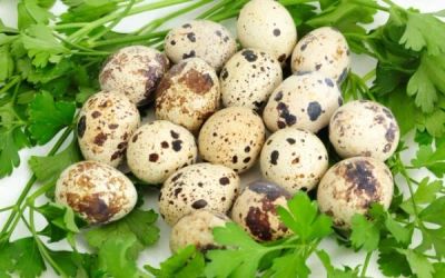 Лот: 11782983. Фото: 1. Яйцо перепелиное 30шт. Мясо, птица, яйцо