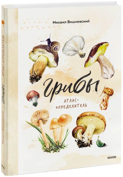 Лот: 24463491. Фото: 1. Грибы. Художественная для детей