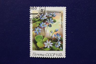 Лот: 6849543. Фото: 1. Почтовая марка №4014 в коллекцию. Марки