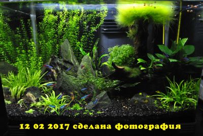 Лот: 8812276. Фото: 1. Аквариум-наноаквариум. Отличный... Аквариумы, террариумы