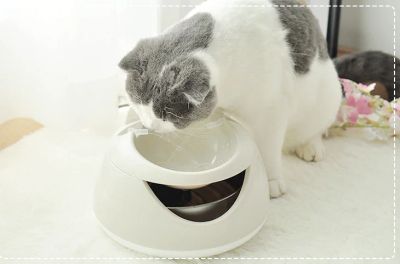 Лот: 17311652. Фото: 1. Поилка фонтанчик для кошки USB. Миски, лотки, наполнители