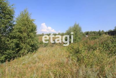 Лот: 25294388. Фото: 1. участок , садоводческое товарищество... Земельные участки