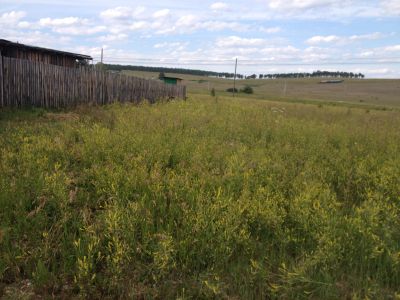 Лот: 9170411. Фото: 1. Участок 10 соток Липатниковы Березняки... Земельные участки