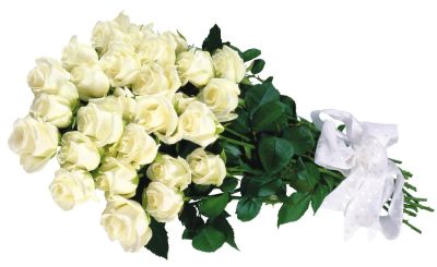 Лот: 6409930. Фото: 1. РОЗА всего 65 руб - длина от 50... Свежие цветы