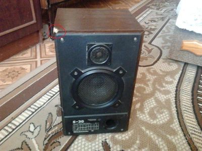 Лот: 1332696. Фото: 1. Колонка S30. Другое (бытовая техника)
