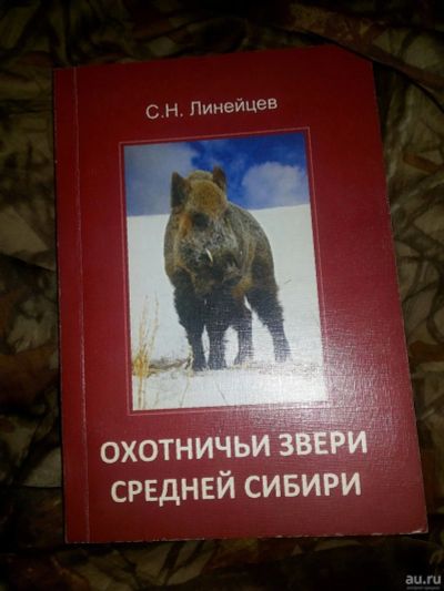 Лот: 13844513. Фото: 1. Охотничьи звери Енисейской Сибири. Охота, рыбалка