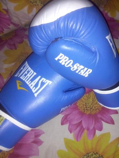 Лот: 4304373. Фото: 1. Боксерские перчатки Everlast. Спортивная символика и атрибутика