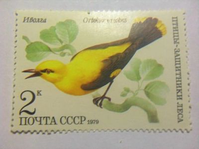 Лот: 10584241. Фото: 1. Марка 2к 1979 год СССР Иволга. Марки