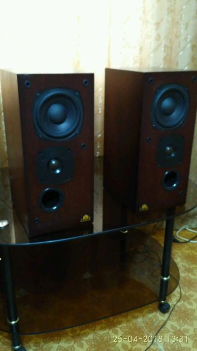 Лот: 11414656. Фото: 1. Колонки Castle Acoustics Tay... Пассивные акустические системы