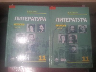 Лот: 10087763. Фото: 1. литература учебник 11 класс сухих. Для школы