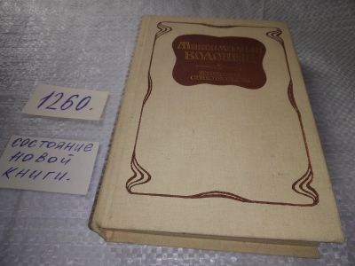 Лот: 19325345. Фото: 1. Волошин М. Избранные стихотворения... Художественная