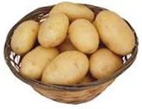 Лот: 3165063. Фото: 1. отборный крупный картофель с доставкой... Картофель
