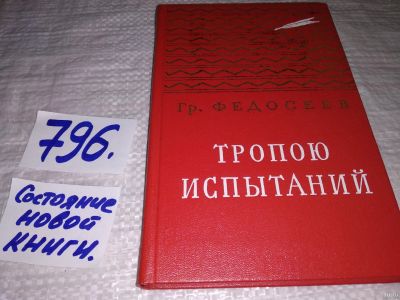 Лот: 12804010. Фото: 1. (4092331)Тропою испытаний, Григорий... Художественная