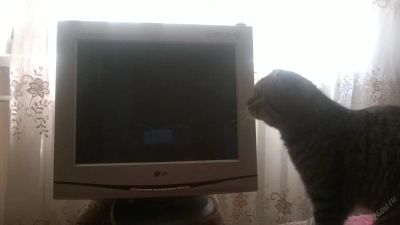Лот: 5756616. Фото: 1. Монитор LG 700P. ЭЛТ-мониторы